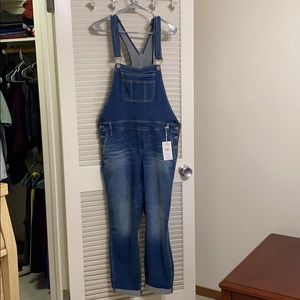 Torrid vintage stretch overall size 14